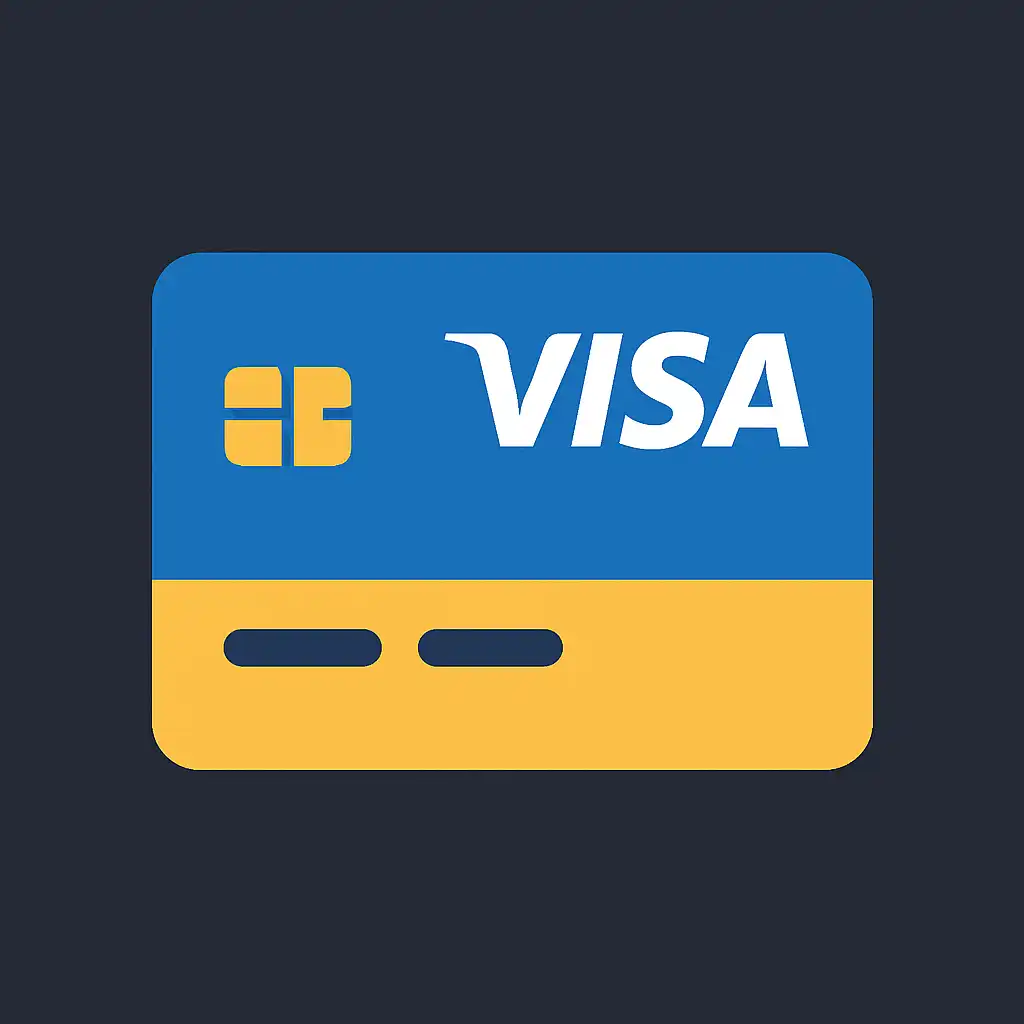 Visa payment icon